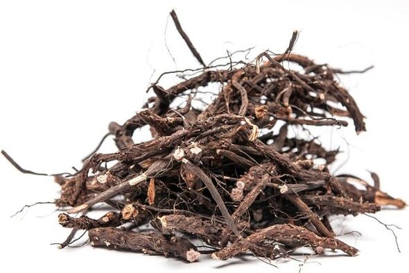 Swamp root has invaluable benefits for the male body. 